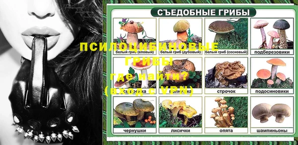 первитин Кукмор